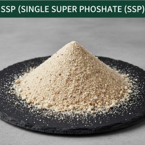 Single Super Phosphate (SSP)